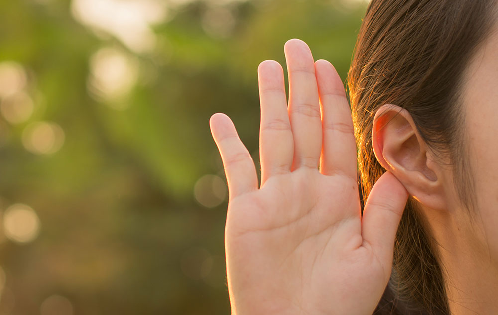  Human Ear Anatomy: How Hearing Works