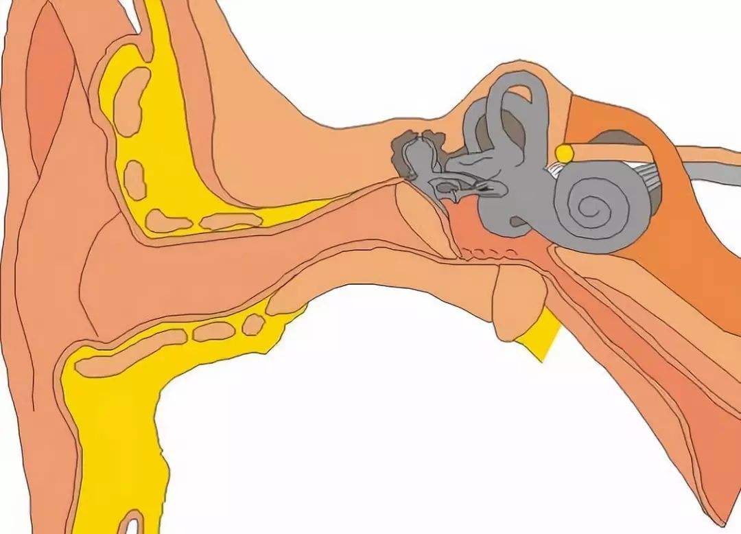 4 Reasons to Avoid Cotton Swabs when Cleaning Your Ears