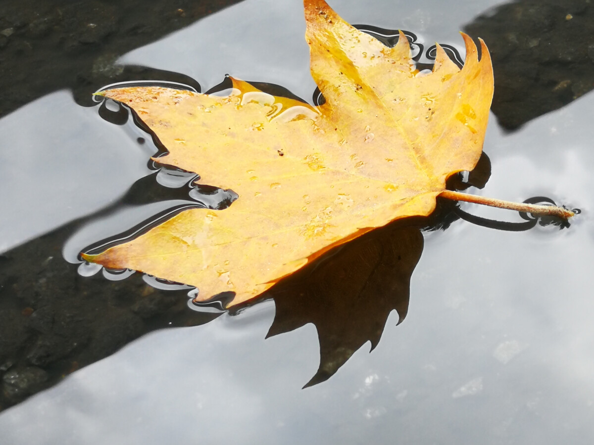 What to do When Your Hearing Aids Get Wet