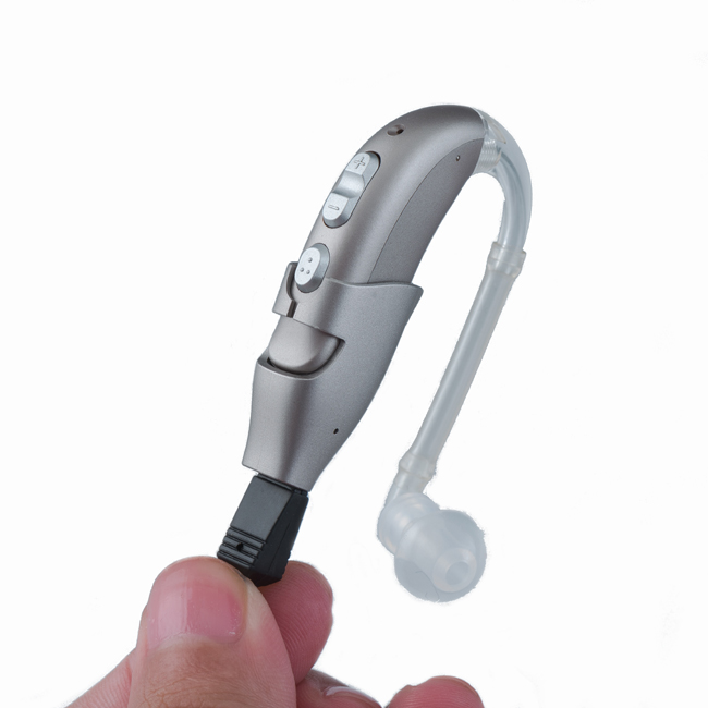 Fugue 24 BTE U Ear Hook Hearing Aids With Remote Control